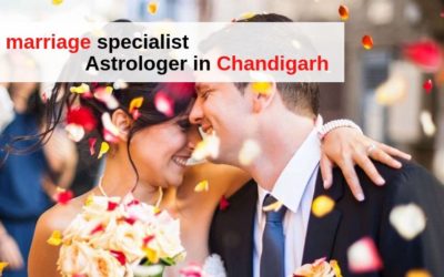 Love marriage specialist Astrologer in Chandigarh +91 1 9571613573