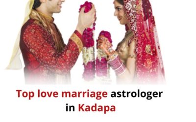 Top love marriage expert astrologer in Kadapa 91 9571613573