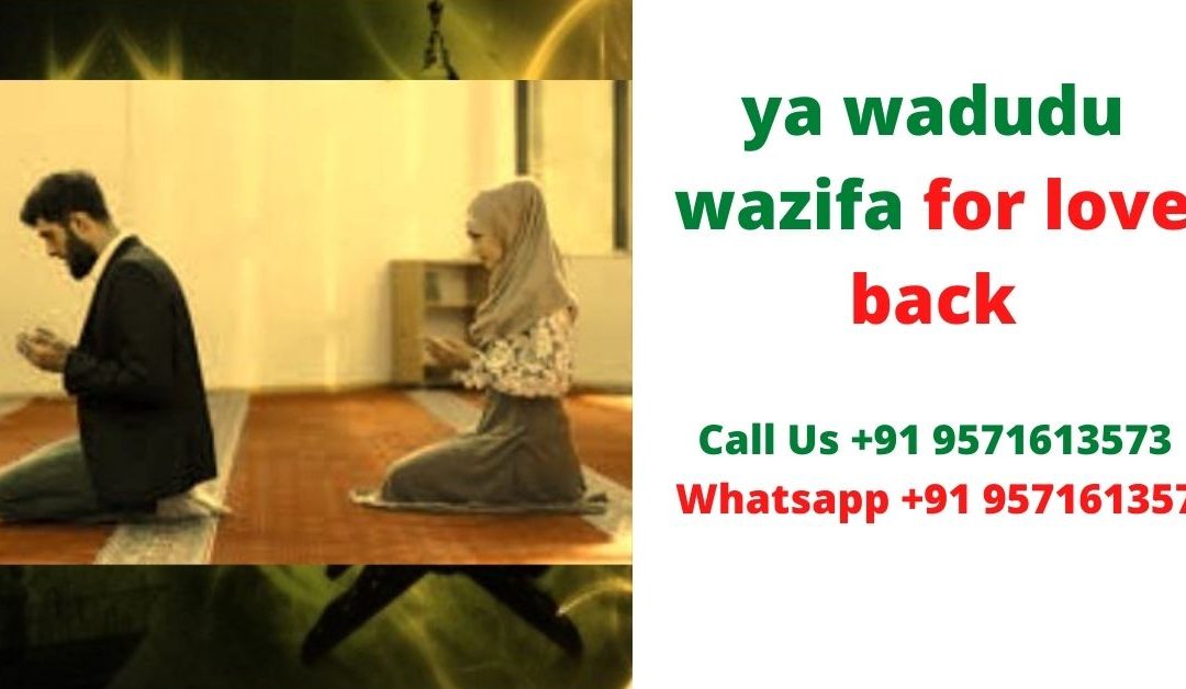 ya wadudu wazifa for love back – Love Astrologer Baba ji