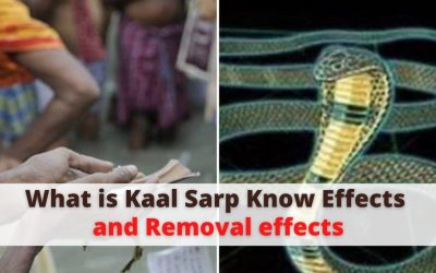 What is Kaal Sarp Dosha Know Effects and Removal effects – Indian vashikaran guru